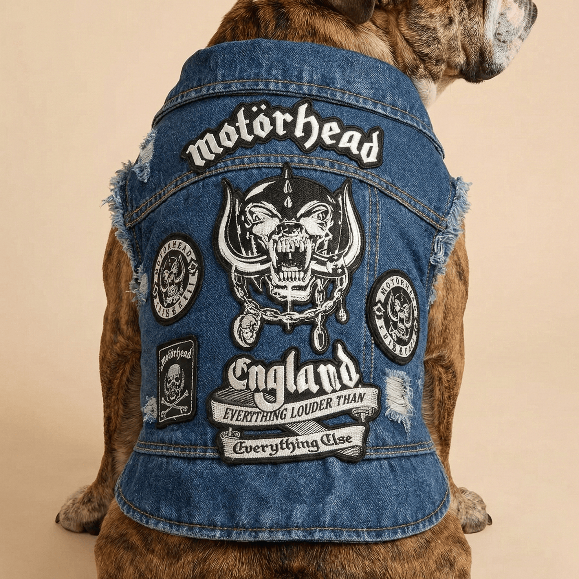 MTH Pet Denim Jacket LNTH