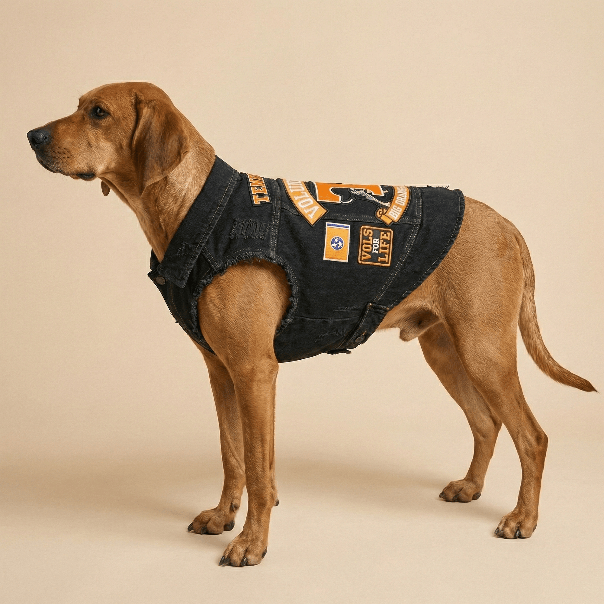 TVF Pet Denim Jacket LNTH