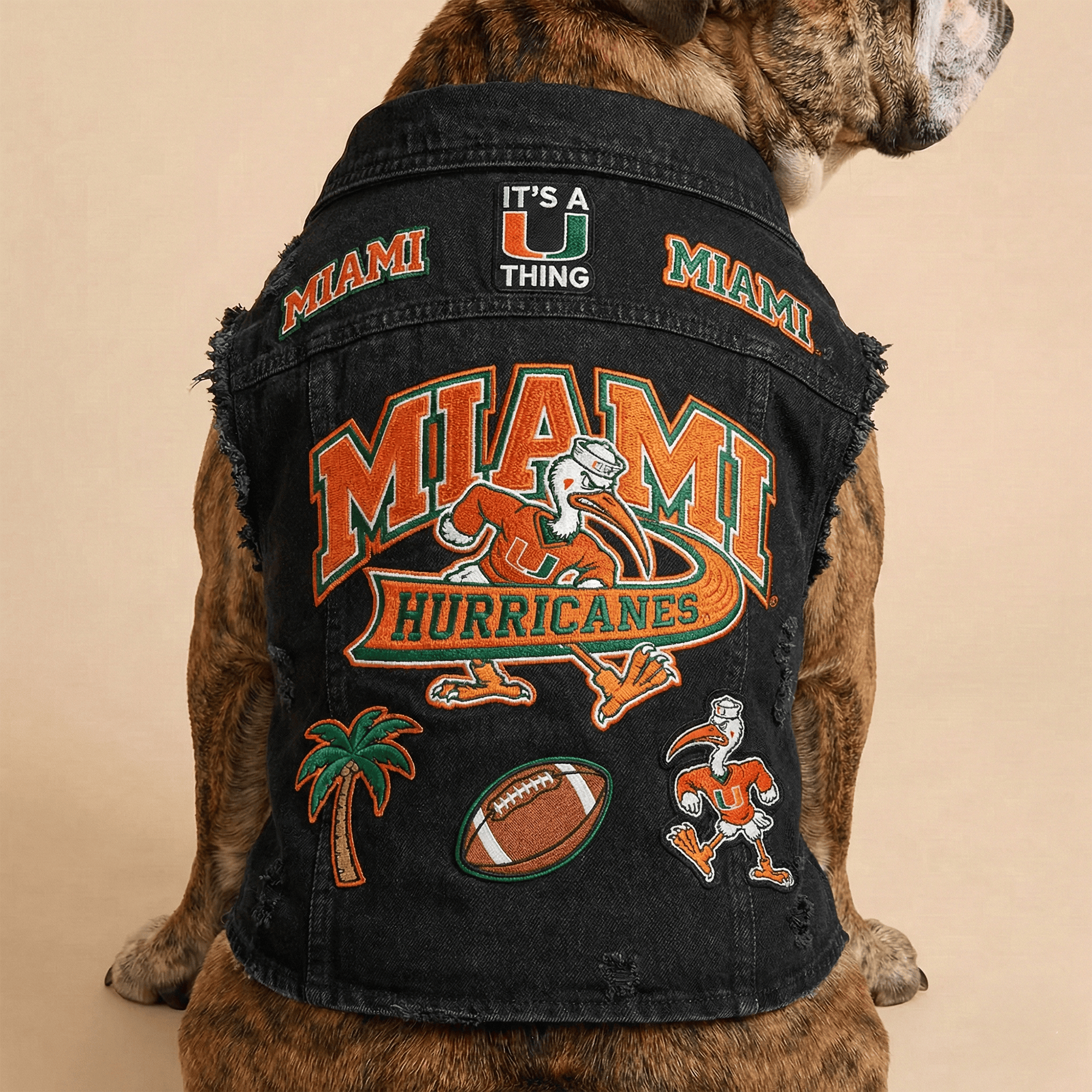 MHC Pet Denim Jacket LNTH