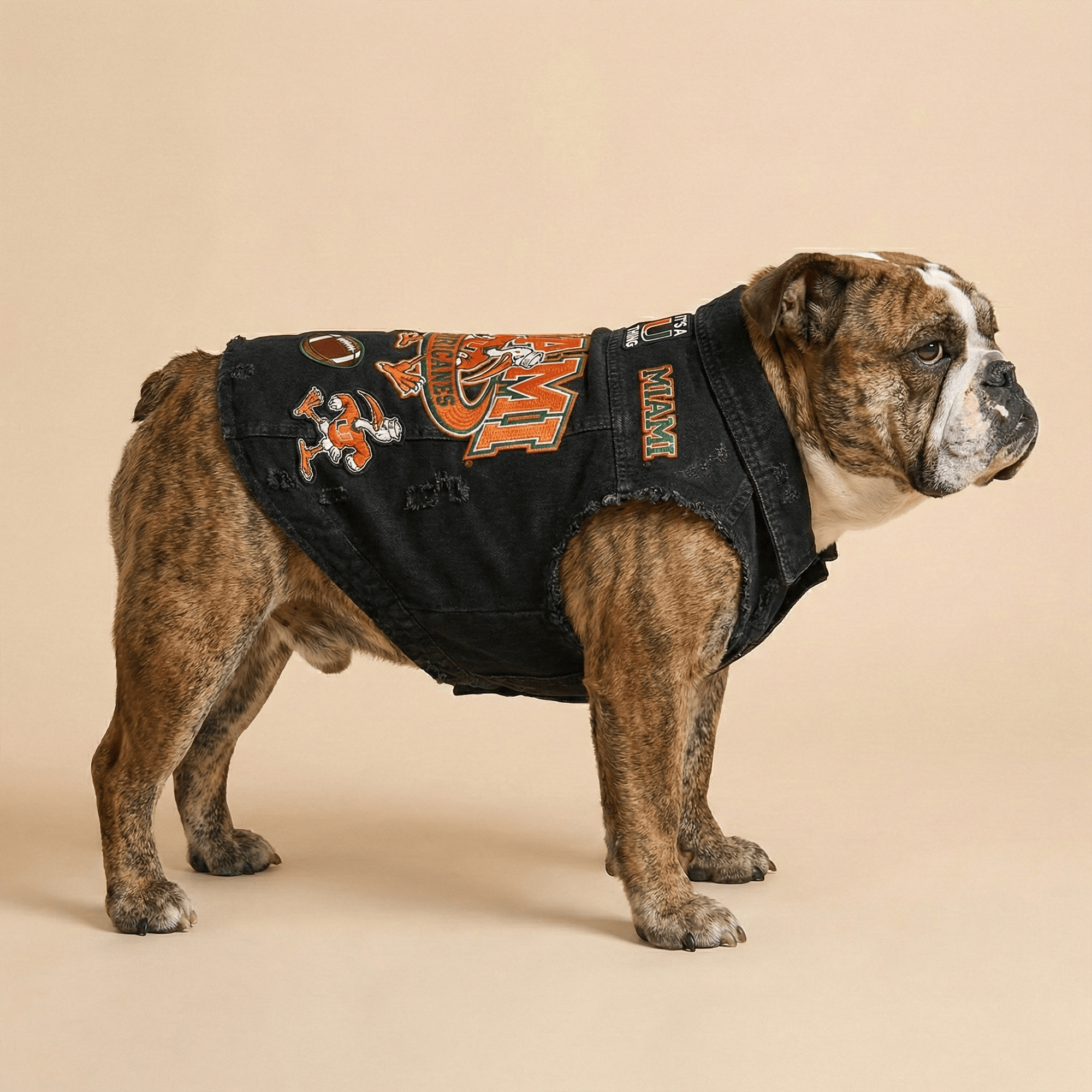 MHC Pet Denim Jacket LNTH